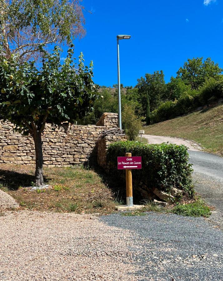 Chambre Au Calme Avec Spa Privatif Gratuit Sud Aveyron Les Palmiers Des Causses Saint-Rome-de-Tarn Exterior photo